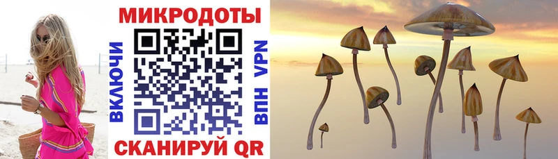 Псилоцибиновые грибы MAGIC MUSHROOMS  Руза 